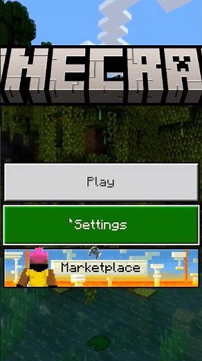 you can't play multiplayer in Minecraft