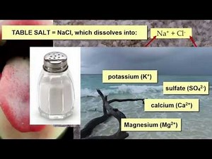Salinity Impacts on Marine Life