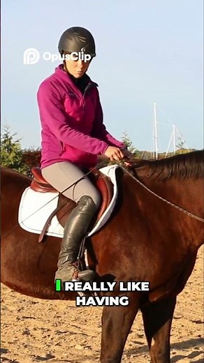 Whip tips for riders #horse #equestrian #horsetraining #equestrian #horseriding