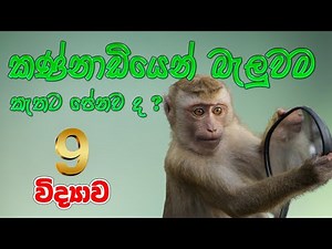 Grade 9 Science | තරංග පරාවර්තනය හා වර්තනය (1 කොටස) (Unit 14) | Reflection and Refraction of Waves