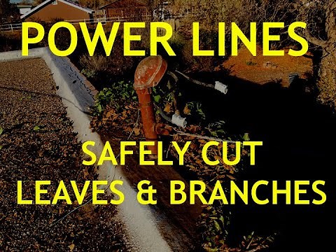 Power Lines - Safely Trim Leaves and Branches Around Your Home