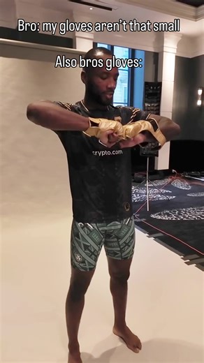 Best Sparring Gloves for UFC Training