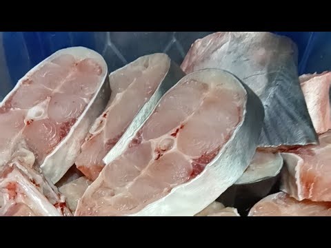 10:30 am live basa fish