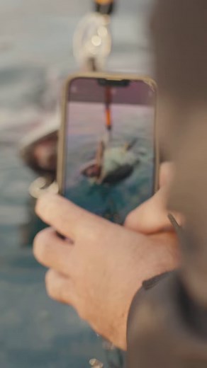 3.7K views · 41 reactions | The DTX MINNOW 145mm is a revolution in...