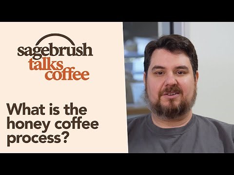What is the Honey Coffee Process?
