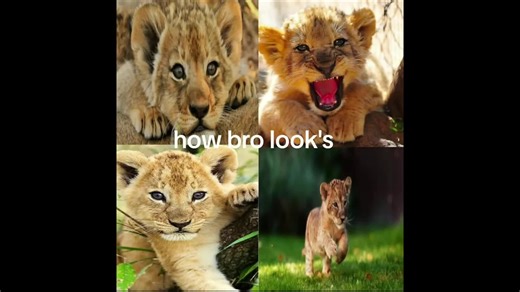 Cringe TikTok Comments.. #fyp #TIKTOKCOMMENTS #funnycomments #meme