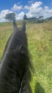 Horse appreciation post Hazer 😍🥰 | Brookby Heights International