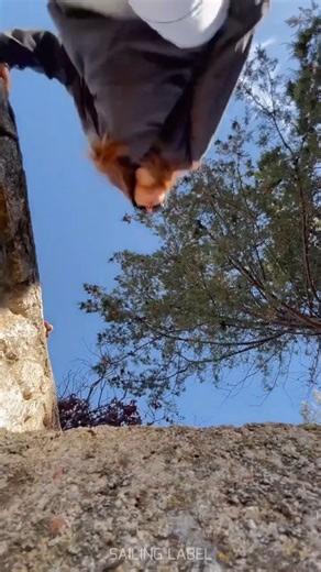 Sailinglabel Material on Instagram: "Direct thermal labels production"