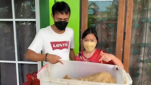 Man finds whale vomit worth over $1M while cleaning beach