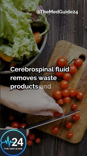 A clear fluid that protects your brain and spine! 🧠💧