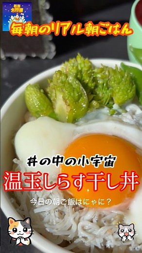 「温玉しらす干し丼」 #料理 #簡単レシピ #まいにちごはん #自炊 #朝丼 #おうちごはん #レシピ動画 #朝ごはん #麦ご飯 #料理動画 #節約料理 #温玉 #しらす干し #ねぎ坊主