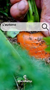 81 reactions · 24 shares |  La consommation locale a la cote, et...