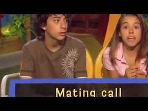 FETCH! with Ruff Ruffman Season 5 Episode 15