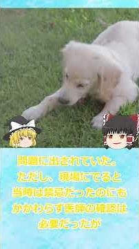 【ゆっくり薬剤師解説】高脂血症の横紋筋融解症はなぜ有名なのか？ #薬剤師