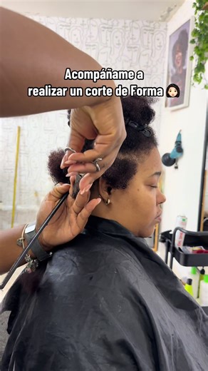 Corte de Forma y Definición en Santo Domingo Este