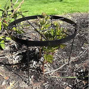 Amazon.com : GOOOXIM Large Peony Cages and Supports 18.9"x23.6" - Durable Round Garden Flower Rings | Tall Plant Support Stakes for Outdoor Peonies | Enhances Peony Planting Success with Secure Grounding : Patio, Lawn & Garden