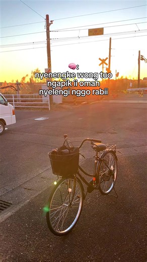 Discover the Experience of Kenshusei in Japan