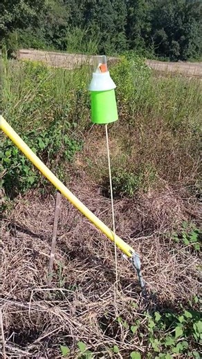 Boll weevil traps Used in Agricultural