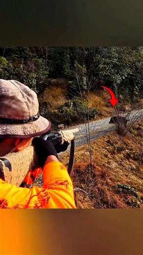 🐗🌲Russian Wild Boar Hunting 🔥 Охота на Кабана #BoarHunting #WildBoar #HuntingAdventure#HunterLife