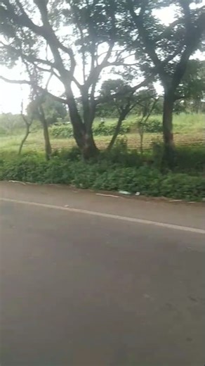 long drive ❤️🥰 #longdrive #nature #naturelovers #trending #viralvideo #youtubeshorts #bollywood