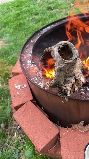 Hollow log on fire.