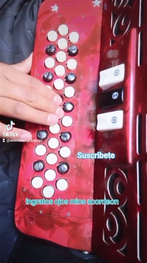 ingratos ojos mios acordeon #acordeon #acordeonista