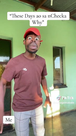 Discover Oka Cheese Recipes: Fun and Easy Ideas