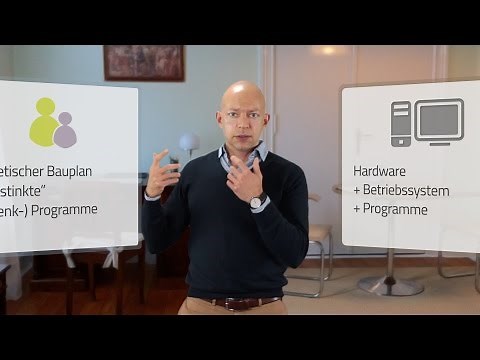 Wie entstehen psychische Erkrankungen? TEIL 1