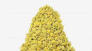 CNN Facts First Bunch of Bananas