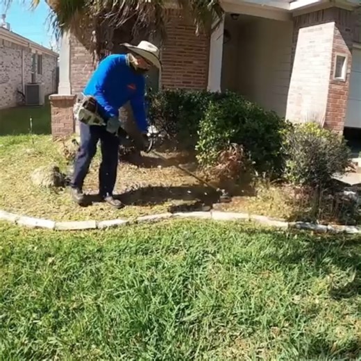 13 reactions | Mowing a Small Overgrown Yard with a Push Mower | Garden Nurse | Facebook