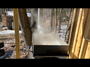 Making Maple Syrup 2024!