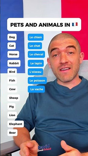 Animals in French 🇫🇷 pets, farm and wildlife vocabulary