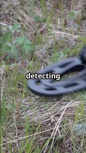 Metal Detecting for Gold: Read the Ground Like a Pro