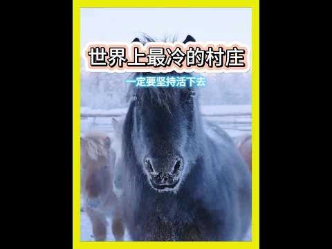 重生到奥伊米亚康，10 分钟冻成冰尸！村民与严寒死磕的生存奇迹