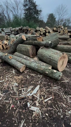More free logs and a new log splitter on way #oakwood #newequipment #firewood | Lillysfarmandfirewood