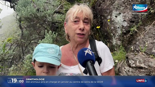 Chute mortelle : fin tragique pour le jeune randonneur | LINFO.re