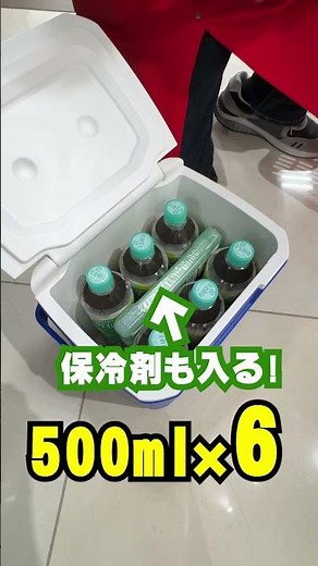 500ml×6本🥤ちゃんと保冷材も入るから部活の味方🏀絶妙なサイズのクーラーボックス爆誕✨Coleman(コールマン)「テイク9」日常～キャンプまで使える♪ #キャンプ #部活 #クーラーボックス