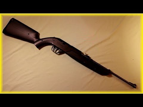 Crosman Pumpmaster 760 BB/Pellet Gun Review