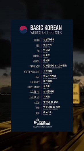 Essential Korean Words and Phrases for Beginners | TikTok