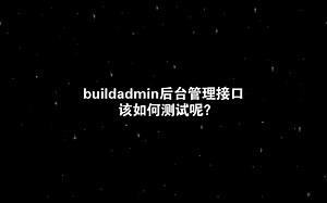 怎么测试buildadmin后台接口呢？