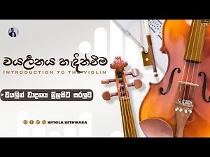 වයලින් පාඩම් මාලාව | වයලීනය හැදින්වීම | පෙරදිග සංගීතය | Basics of playing violin| වයලින් වාදන සරලව