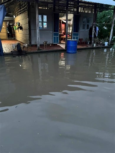 nhìn thấy nhà mà chạnh lòng 🥲 đừng mưa nữa ông ơi🌧 | Chuot Meo