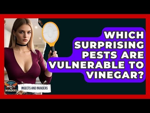 Which Surprising Pests Are Vulnerable To Vinegar? - Insects and Invaders