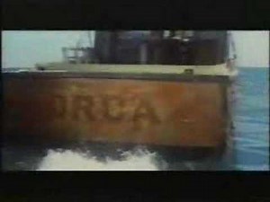 JAWS - The Orca 2 Remains