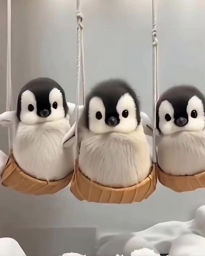 Cute#animals #cuteanimals #fypシ #fypシ゚viral #xhtiktok #xh #viralvideo