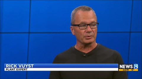 Tips for your fall gardening to do list