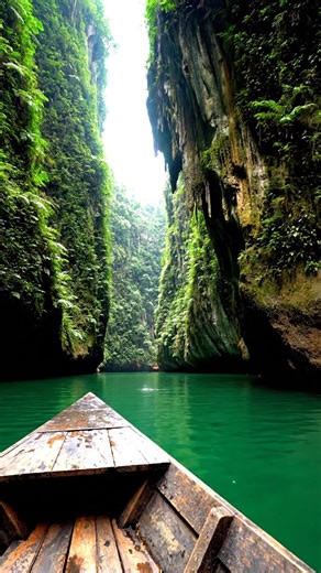 Known locally as Cukang Taneuh, this natural wonder in West Java is a paradise for adventure seekers looking to swim through the most beautiful river gorge in Indonesia. 🇮🇩💎 #indonesia #indonesia🇮🇩 #indonesiatravel #indonesiahiddengems #travel