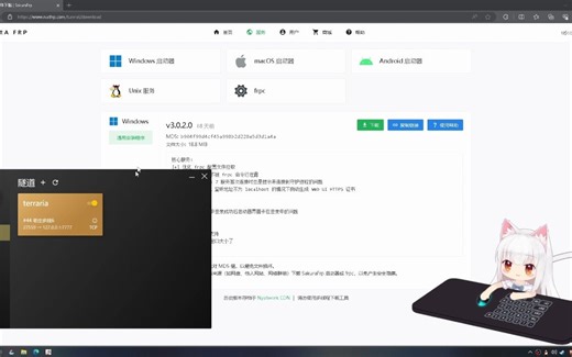 泰拉瑞亚tmod本地服务器教程