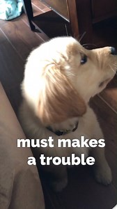 I heard you like bad boys 😎 Not to brag...but I can swim without floaties 💪🏼😏 🌊 | Tucker Budzyn