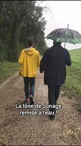 C'est un ruisseau asséché du Grand Parc de Miribel Jonage qui reprend vie ! | Radio SCOOP Lyon
